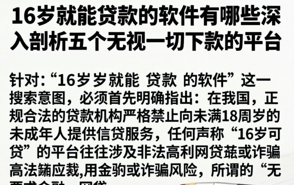 16岁就能贷款的软件有哪些，深入剖析五个无视一切下款的平台