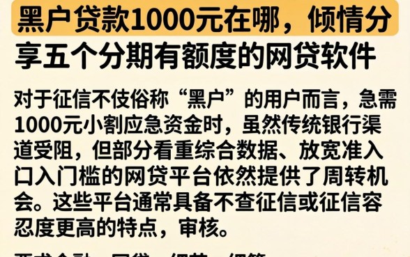 黑户贷款1000元在哪，倾情分享五个分期有额度的网贷软件