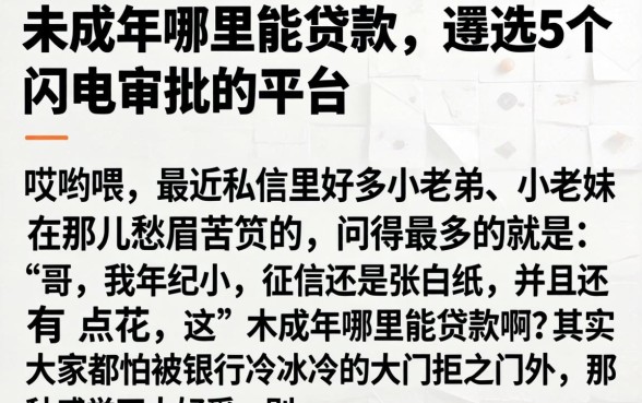 未成年哪里能贷款，遴选5个闪电审批的平台