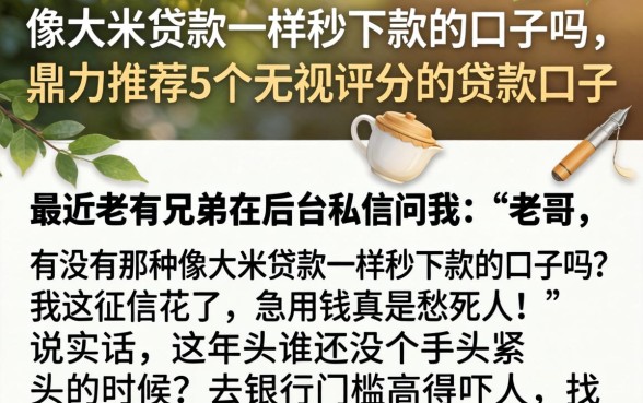 像大米贷款一样秒下款的口子吗，鼎力推荐5个无视评分的贷款口子