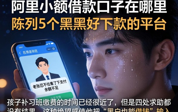 阿里小额借款口子在哪里，陈列5个黑户好下款的平台