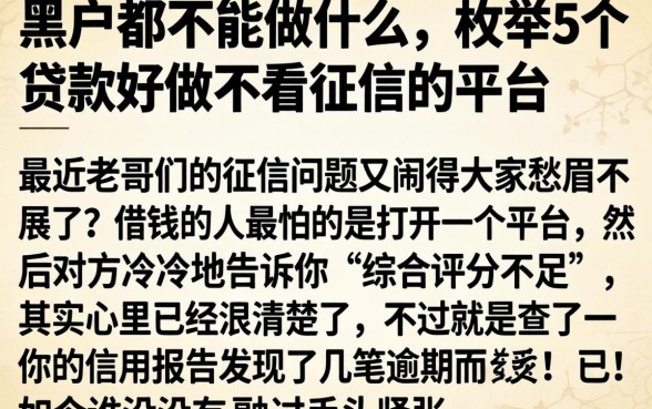 黑户都不能做什么，枚举5个贷款好做不看征信的平台
