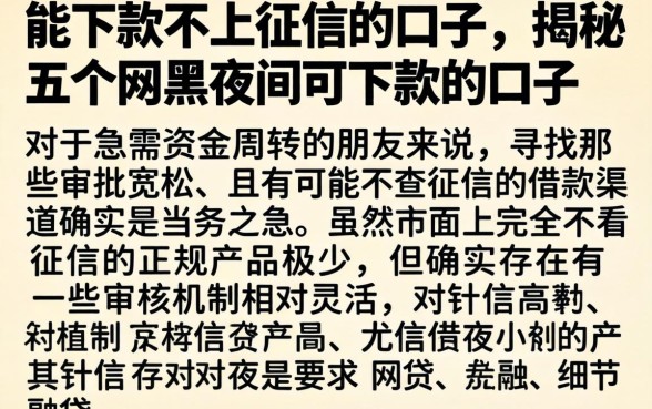 能下款不上征信的口子，揭秘五个网黑夜间可下款的口子