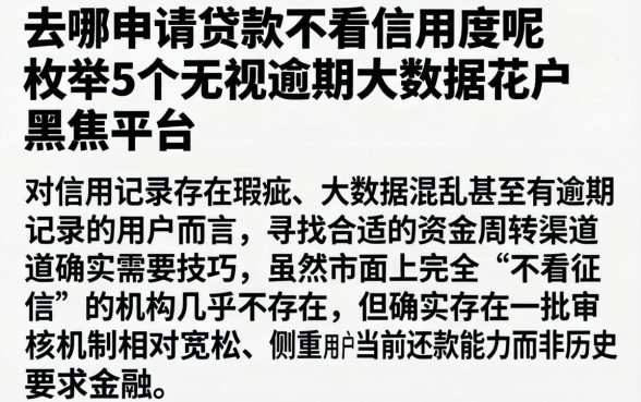 去哪申请贷款不看信用度呢，枚举5个无视逾期大数据花户黑户平台
