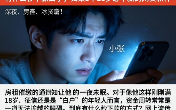 有什么秒下款口子,归集5个18岁必下款的网贷软件