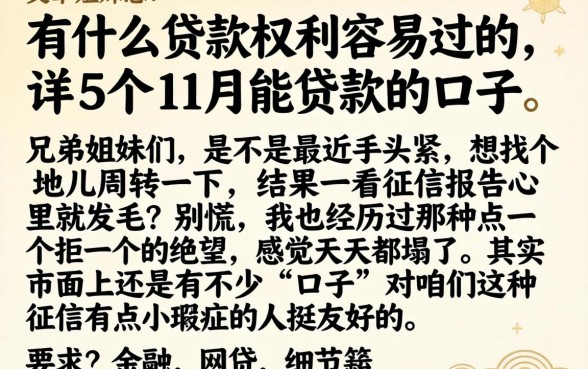 有什么贷款权利容易过的，详尽说明5个11月能贷款的口子