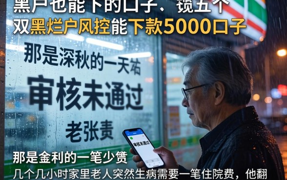黑户也能下的口子，概览五个双黑烂户风控能下款5000口子