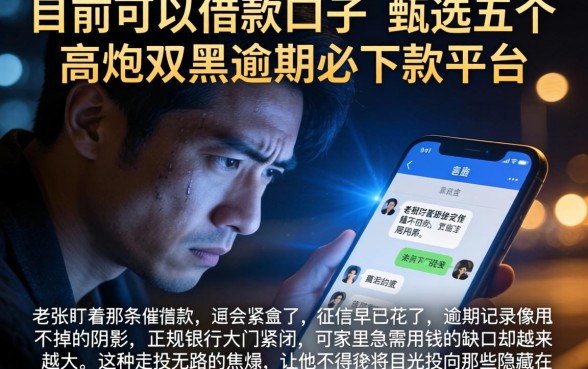 目前可以借款的口子，甄选五个高炮双黑逾期必下款平台