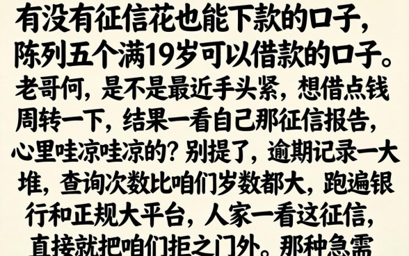 有没有征信花也能下款的口子，陈列五个满19岁可以借款的口子