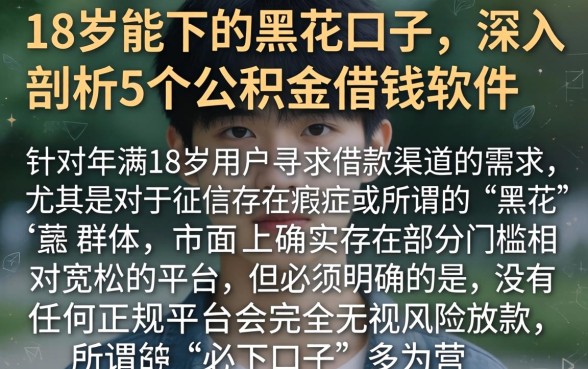 18岁能下的黑花口子，深入剖析5个公积金借钱软件
