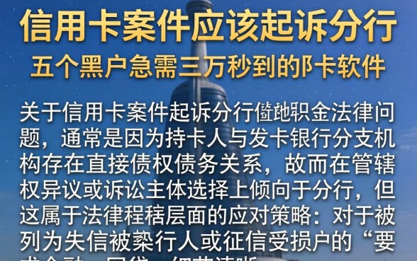 信用卡案件应该起诉分行，详尽说明五个黑户急需三万秒到的的软件