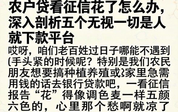 农户贷看征信花了怎么办，深入剖析五个无视一切是人就下款平台