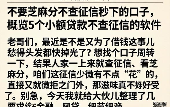 不要芝麻分不查征信秒下的口子，概览5个小额贷款不查征信的软件