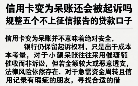 信用卡变为呆账还会被起诉吗，规整五个不上征信报告的贷款口子