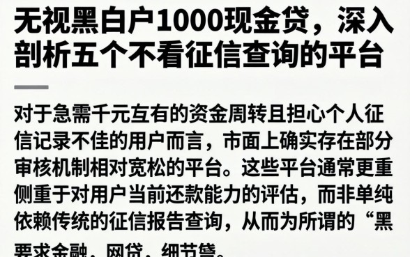 无视黑白户1000现金贷，深入剖析五个不看征信查询的平台