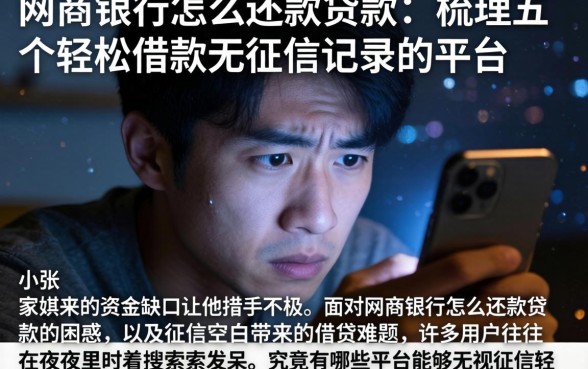 网商银行怎么还款贷款，梳理五个轻松借款无征信记录的平台