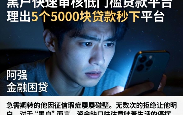 黑户快速审核低门槛的贷款平台，理出5个5000块贷款秒下平台