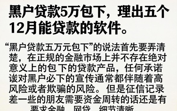 黑户贷款5万包下，理出五个12月能贷款的软件