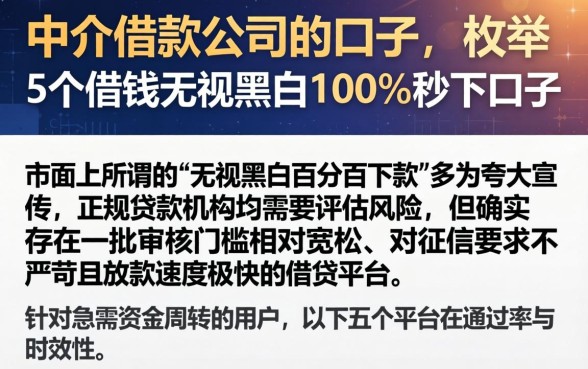 中介借款公司的口子，枚举5个借钱无视黑白100%秒下口子