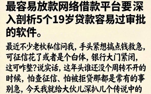 最容易放款的网络借款平台，深入剖析5个19岁贷款容易过审批的软件