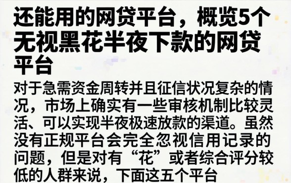 还能用的网贷平台，概览5个无视黑花半夜下款的网贷平台