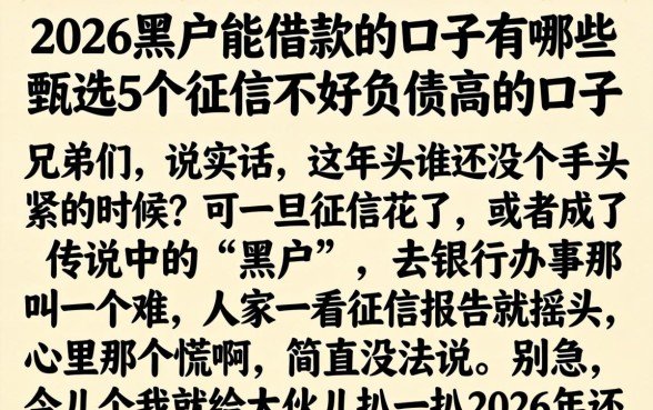 2026黑户能借款的口子有哪些，甄选5个征信不好负债高的口子