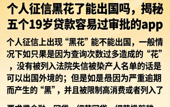 个人征信黑花了能出国吗,揭秘五个19岁贷款容易过审批的app