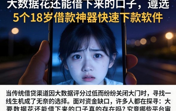 大数据花还能借下来的口子，遴选5个18岁借款神器快速下款软件