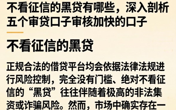 不看征信的黑贷有哪些，深入剖析五个审贷口子审核加快的口子