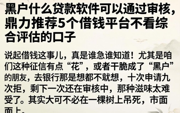 黑户什么贷款软件可以通过审核，鼎力推荐5个借钱平台不看综合评估的口子