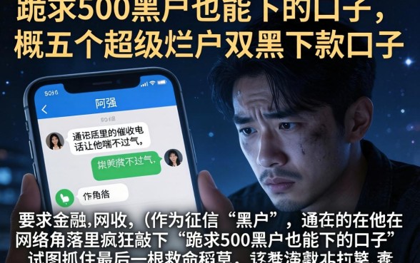跪求500黑户也能下的口子，概括五个超级烂户双黑下款口子