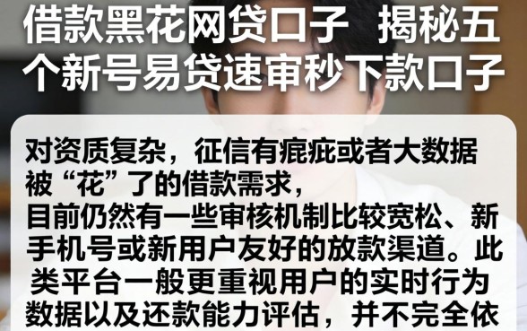 借款黑花网贷口子，揭秘五个新号易贷速审秒下款口子