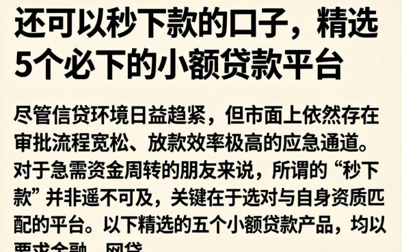 还可以秒下款的口子，精选5个必下的小额贷款平台