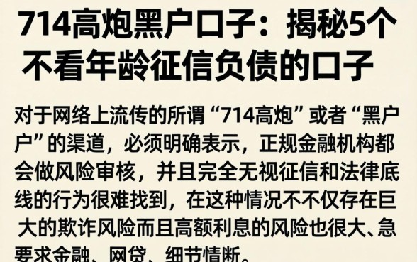 714高炮黑户口子，揭秘5个不看年龄征信负债的口子