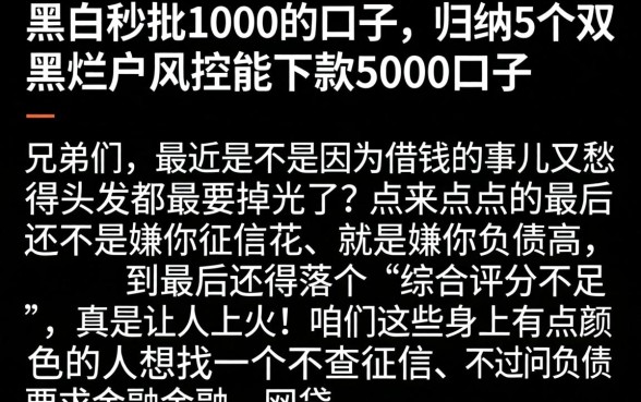黑白秒批1000的口子，归纳5个双黑烂户风控能下款5000口子