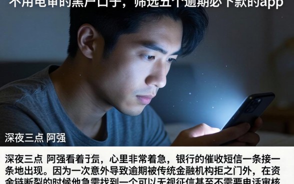 不用电审的黑户口子，筛选五个逾期必下款的app