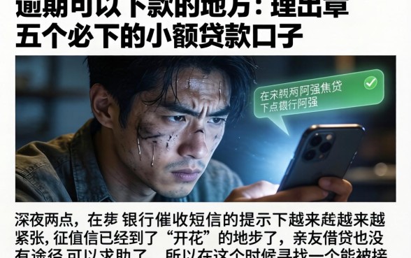逾期可以下款的地方，理出五个必下的小额贷款口子