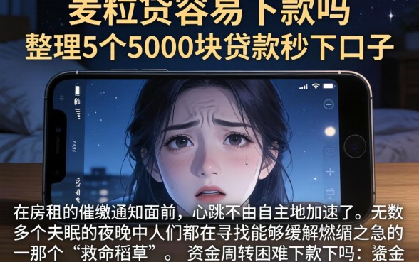 麦粒贷容易下款吗，整理5个5000块贷款秒下口子