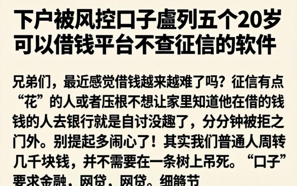 下户被风控的口子，胪列五个20岁可以借钱平台不查征信的软件