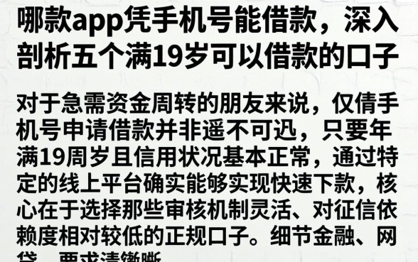 哪款app凭手机号能借款，深入剖析五个满19岁可以借款的口子