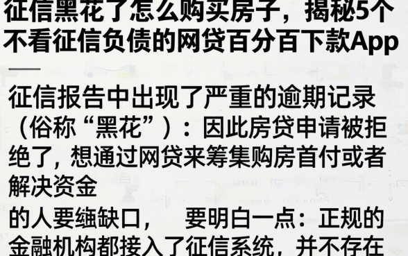 征信黑花了怎么购买房子，揭秘5个不看征信负债的网贷百分百下款app