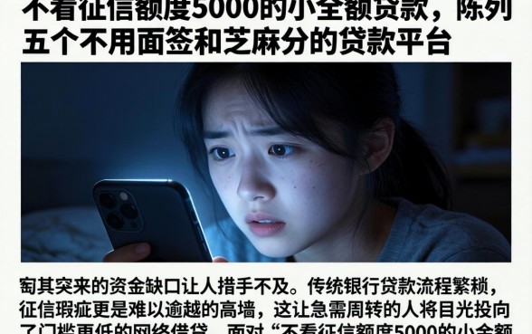 不看征信额度5000的小额贷款，陈列五个不用面签和芝麻分的贷款平台