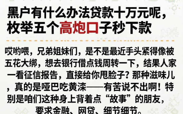 黑户有什么办法贷款十万元呢，枚举五个高炮口子秒下款