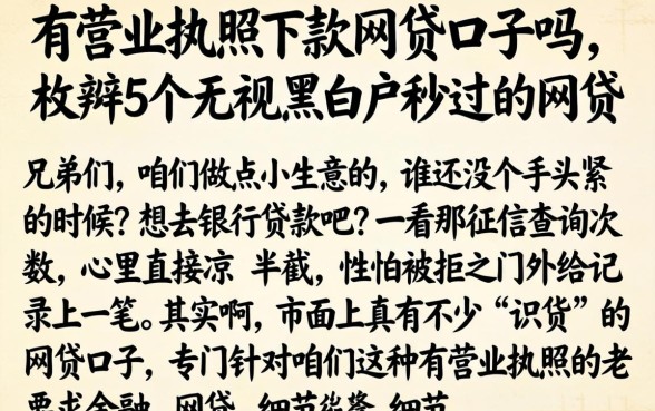 有营业执照下款的网贷口子吗，枚举5个无视黑白户秒过的网贷