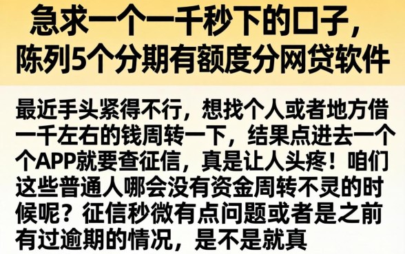 急求一个一千秒下的口子，陈列5个分期有额度的网贷软件