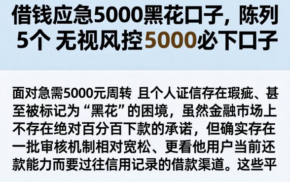 借钱应急5000黑花口子，陈列5个无视风控5000必下口子