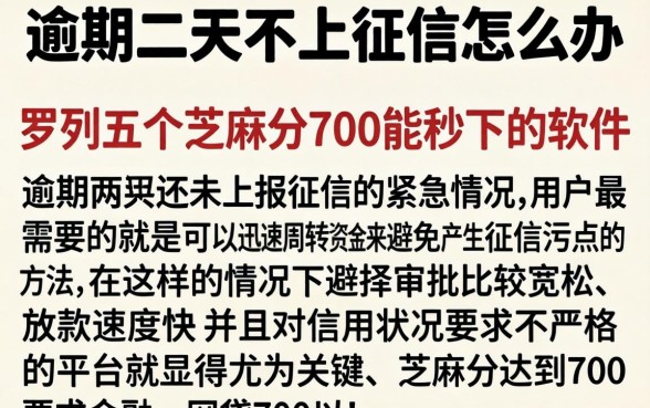 逾期二天不上征信怎么办，罗列五个芝麻分700能秒下的软件