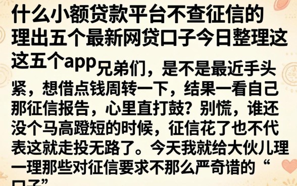 什么小额贷款平台不查征信的，理出五个最新网贷口子今日整理这五个app