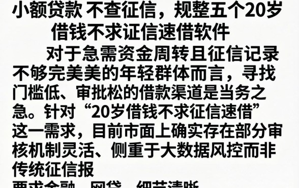 小额贷款 不查征信，规整五个20岁借钱不求征信速借软件