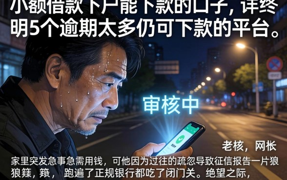 小额借款下户能下款的口子，详尽说明5个逾期太多仍可下款的平台